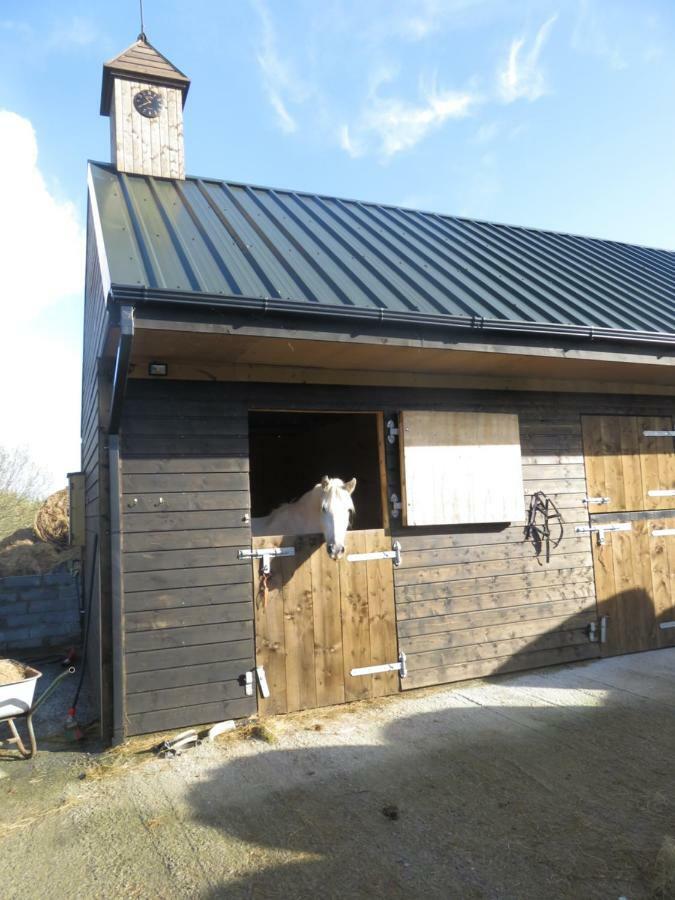 فيلا Bunkhouse - Letterfrack Farm المظهر الخارجي الصورة